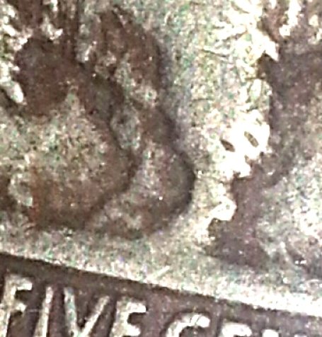 Possible-3-1/2-Legged-Buffalo?